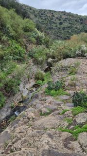 2024-01-GranCan-Barranco_de_los_Cernicalos-052.jpg